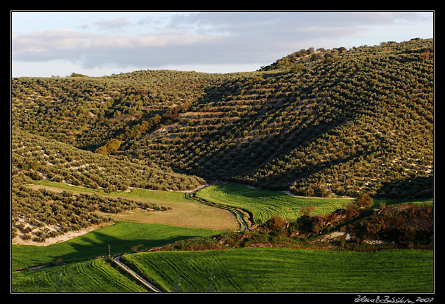 Andalucia - hills at Montefrio