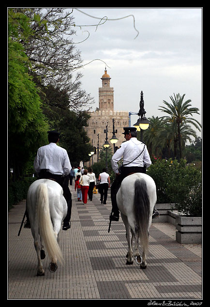 Sevilla - Torre del Oro