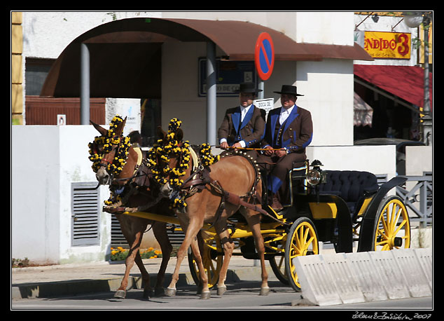 Sevilla - a festival carriage