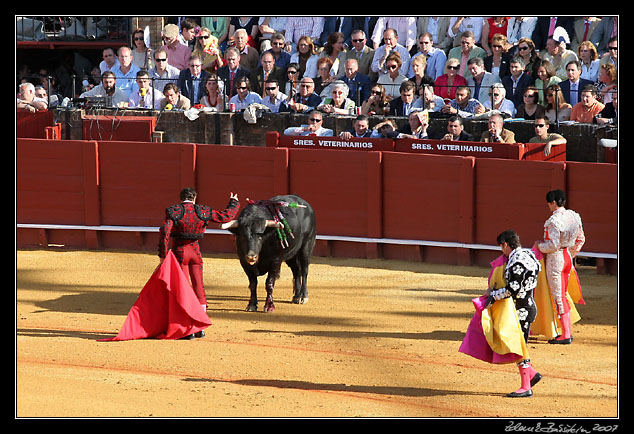 Sevilla - ...before the bull died