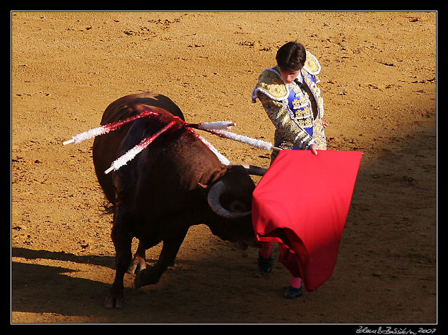 Sevilla - <i>faena</i> of Sebastin Castella