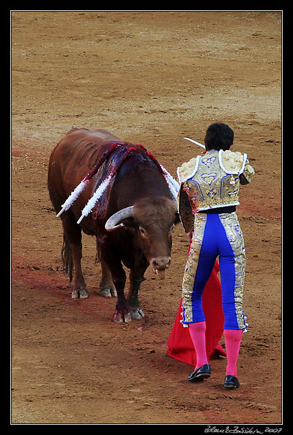 Sevilla - Sebastin Castella preparing for <i>estocada</i>