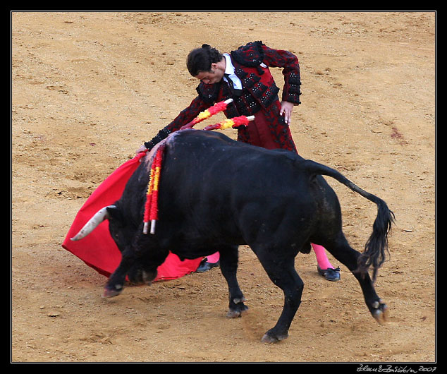 Sevilla - corrida de toros - <i>faena</i> of Finito de Cordoba
