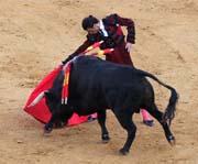 Sevilla - corrida de toros - <i>faena</i> of Finito de Cordoba