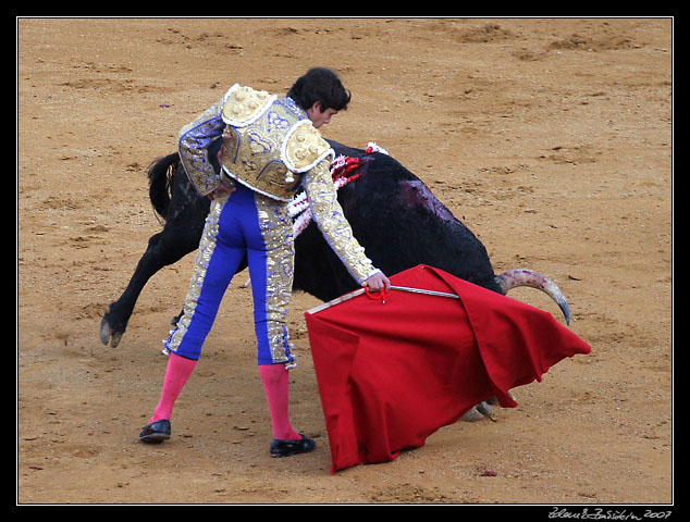 Sevilla - corrida de toros - <i>faena</i> of Sebastin Castella