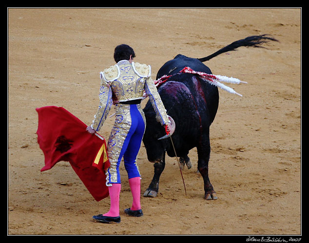 Sevilla - corrida de toros - Sebastin Castella