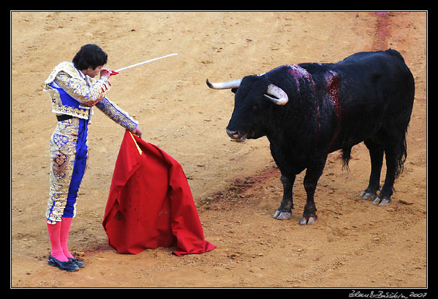 Sevilla - corrida de toros - Sebastin Castella preparing for <i>estocada</i>