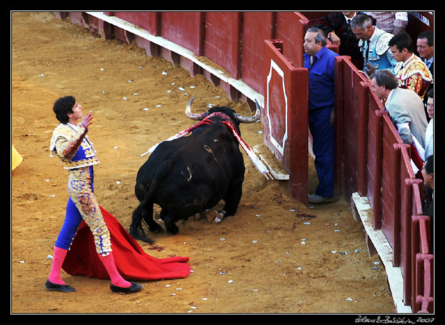 Sevilla - corrida de toros - Sebastin Castella triumphant