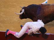 Sevilla - corrida de toros - oops!