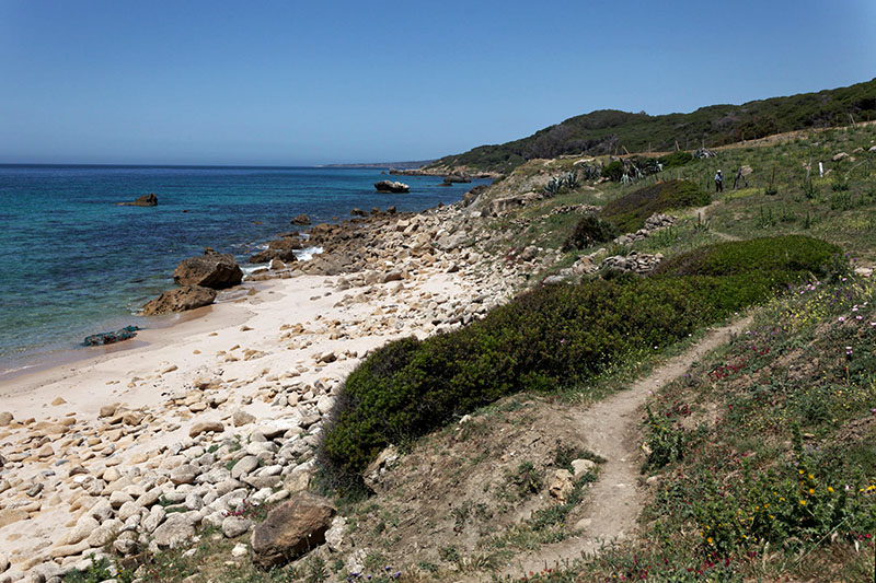 Tarifa - Punta Paloma