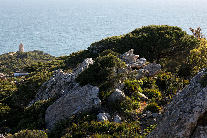 Tarifa - Faro Camarinal