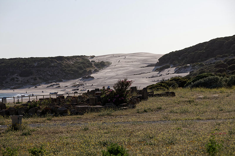 Tarifa - Duna de Bolonia