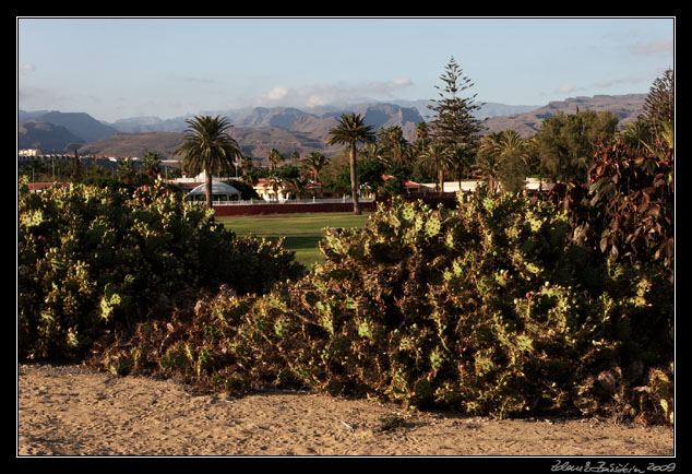 Gran Canaria - Campo de golf de Maspalomas