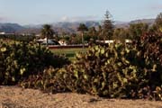 Gran Canaria - Campo de golf de Maspalomas