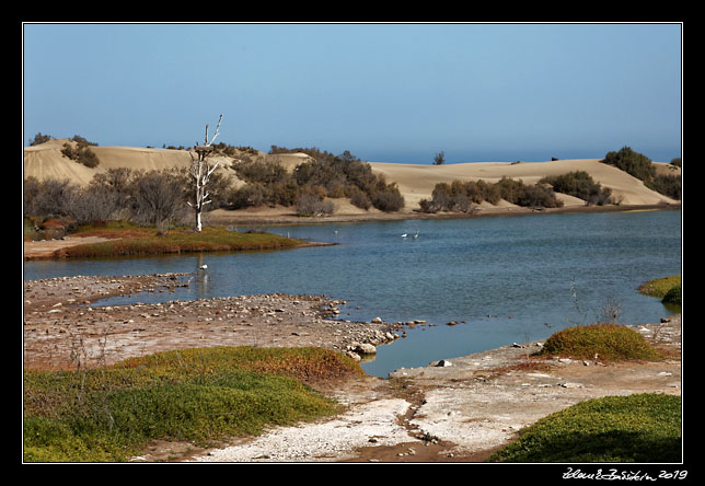 Gran Canaria - Maspalomas