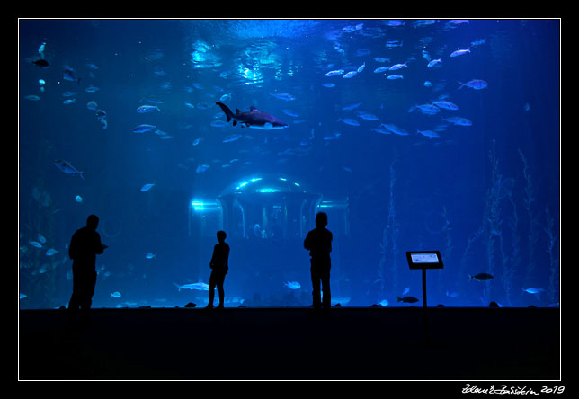 Gran Canaria - Las Palmas - Acuario Poema del Mar