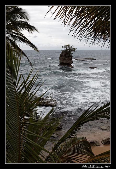 Costa Rica - Manzanillo - Manzanillo coast