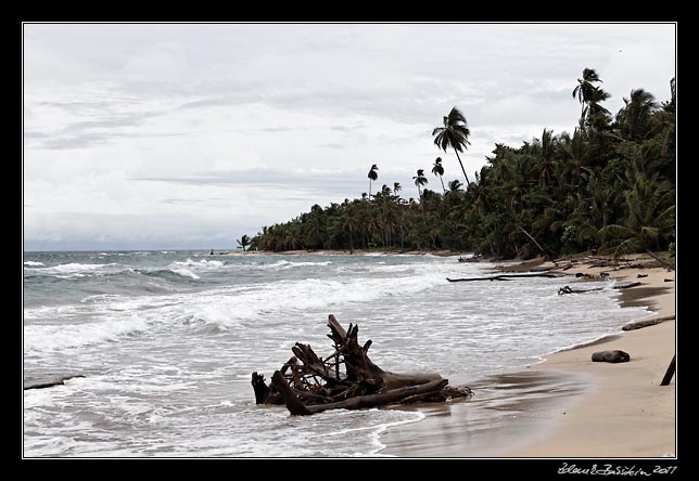 Costa Rica - Manzanillo - Manzanillo coast