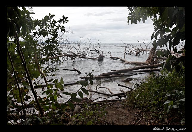 Costa Rica - Cahuita - national park coast