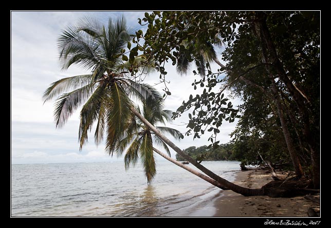 Costa Rica - Cahuita - Cahuita coast