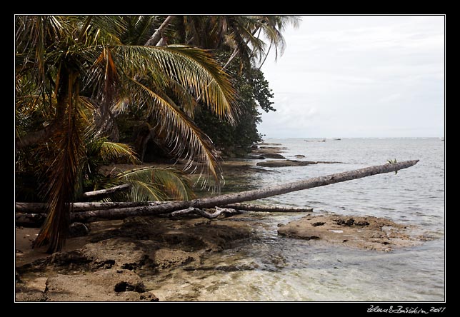 Costa Rica - Cahuita - national park coast