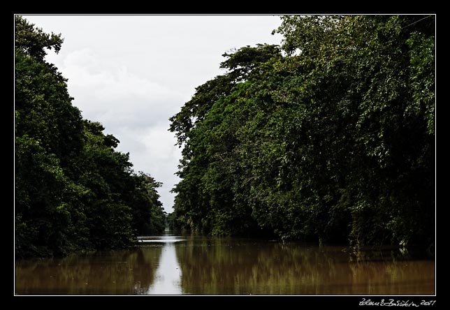 Costa Rica - Tortuguero canal -