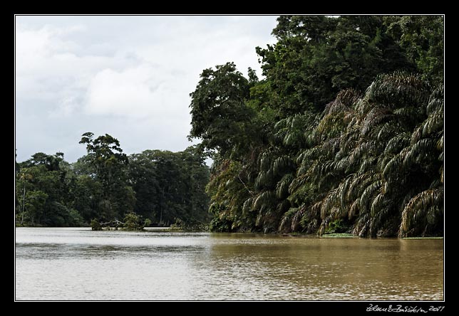 Costa Rica - Tortuguero canal -