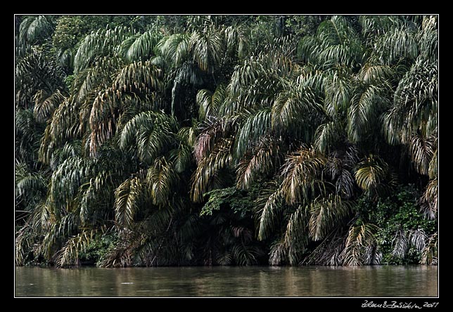 Costa Rica - Tortuguero canal -