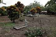Costa Rica - Tortuguero - Tortuguero cemetery