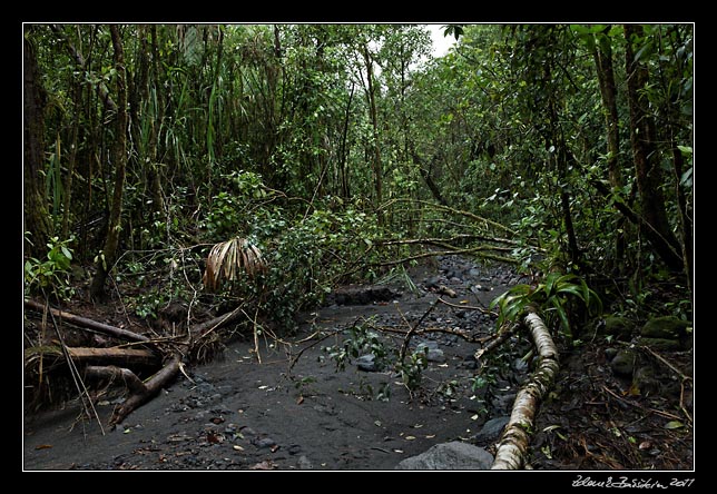 Costa Rica - Arenal - dry riverbed