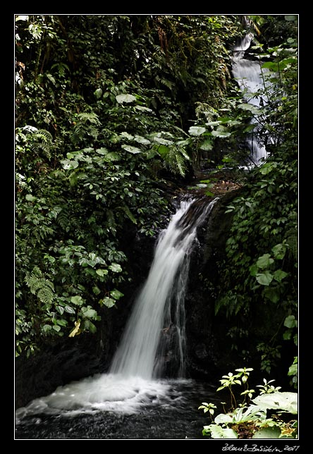 Costa Rica - Monteverde - catarata