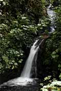 Costa Rica - Monteverde - catarata