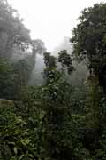 Costa Rica - Monteverde - Selvatura park