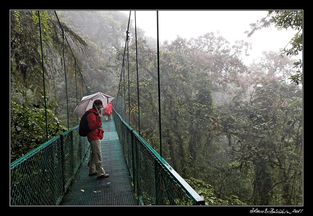 Costa Rica - Monteverde - Selvatura park - Tree top Walk