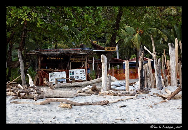 Costa Rica - Nicoya peninsula - turtle hatchery in Montezuma