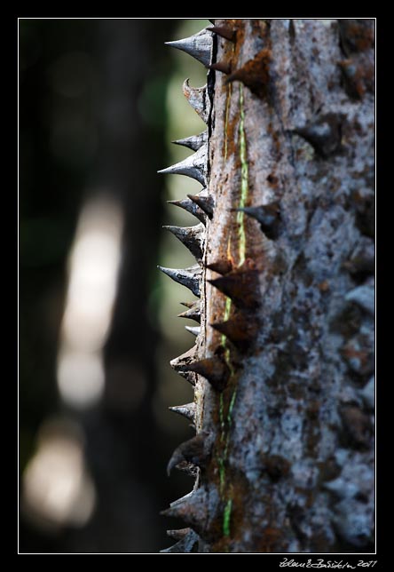 Costa Rica - Nicoya peninsula -