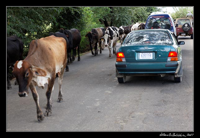 Costa Rica - Nicoya peninsula - on the road