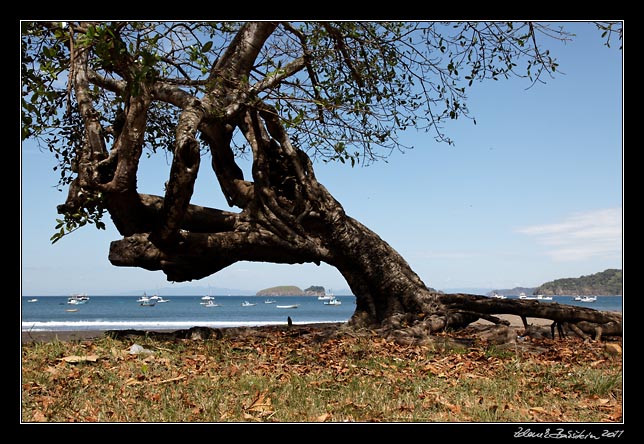 Costa Rica - Guanacaste - playa Del Coco