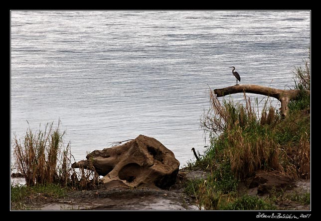 Costa Rica - Pacific coast - Trcoles river