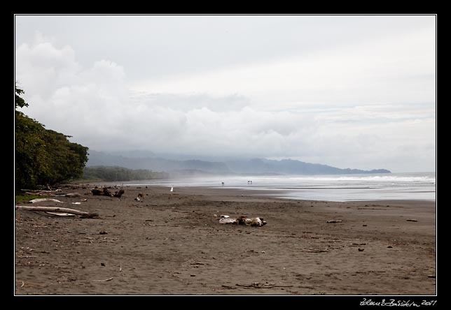 Costa Rica - Pacific coast - playa Matapalo