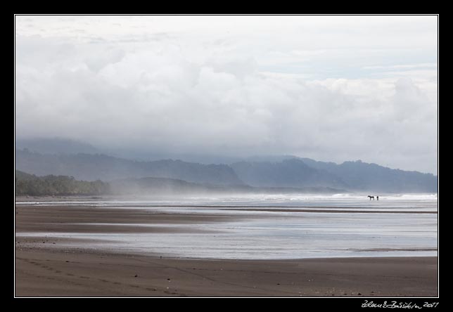 Costa Rica - Pacific coast - playa Matapalo