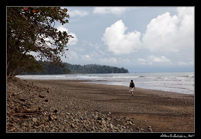 Costa Rica - Pacific coast - playa Balena