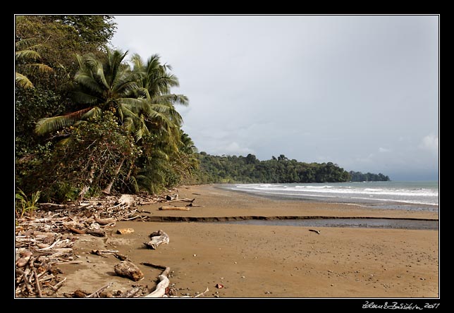 Costa Rica - Pacific coast - playa Balena