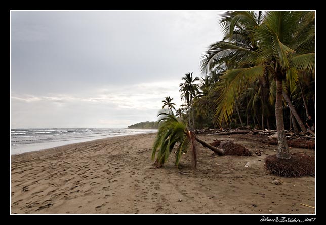 Costa Rica - Pacific coast - playa Balena