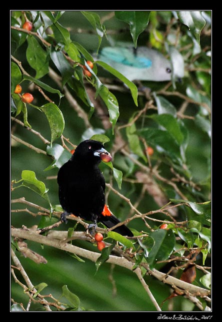 Costa Rica - Pacific coast -