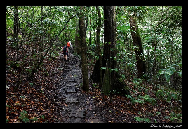 Costa Rica - Pacific coast - Punta de Catedral trail