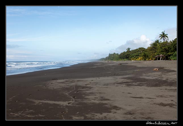 Costa Rica - Pacific coast - goodbye, Matapalo