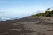 Costa Rica - Pacific coast - goodbye, Matapalo