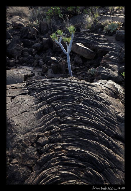 El Hierro - south - a lava flow