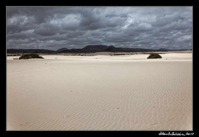 Fuerteventura - Corralejo - Parque Natural de Corralejo